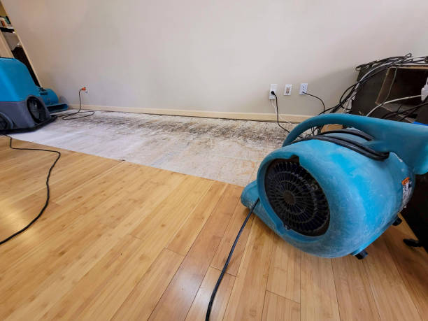 Professional Structural Drying technician working in Sullivan, MO
